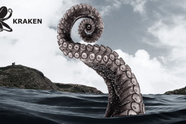 Kraken biz