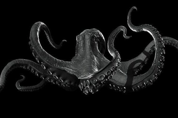 Kraken 14at