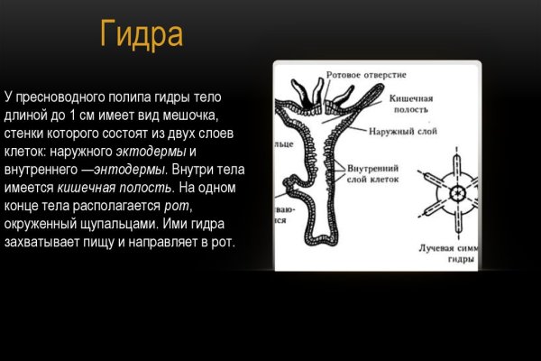 Как восстановить пароль кракен