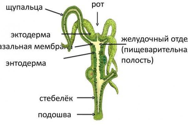 Kraken 14at сайт